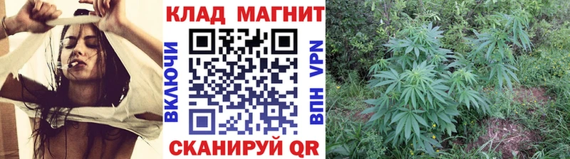 Сколько стоит Волгореченск Alpha PVP МЕФ АМФ ГАШ Марихуана ГЕРОИН Cocaine